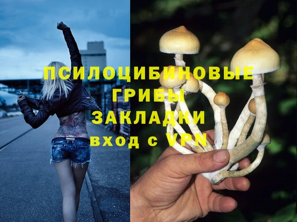МДПВ Абинск