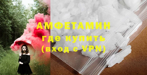 крисы Абаза