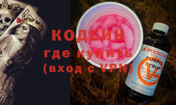 крисы Абаза