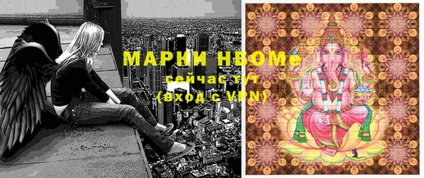 крисы Абаза