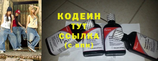 крисы Абаза